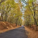 Promyk 公寓 Wisełka