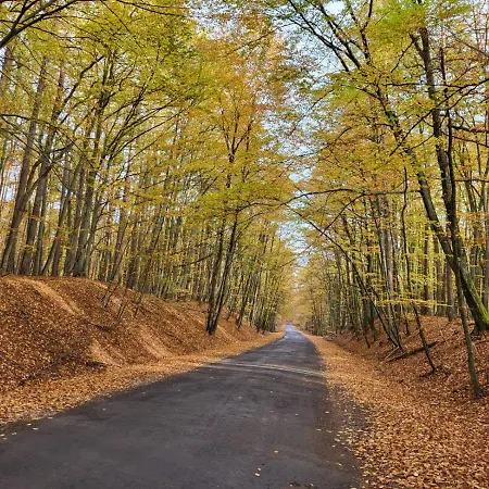 Promyk Apartamento Wisełka