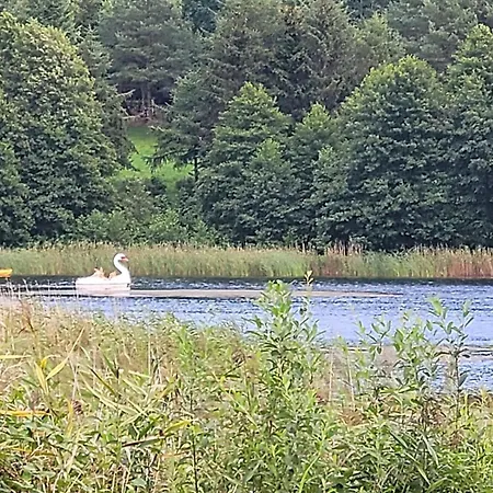 Promyk * Виселка