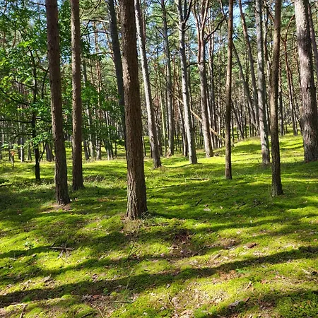 Апартаменты Promyk *