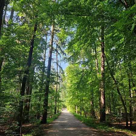 Promyk شقة