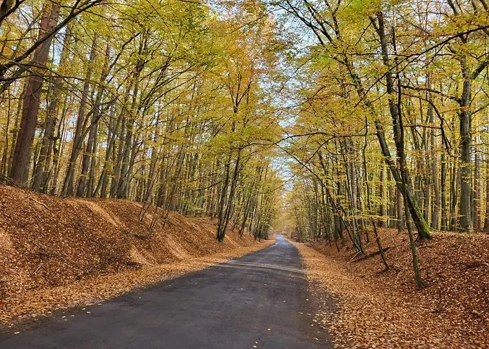 Promyk Апартаменты Виселка