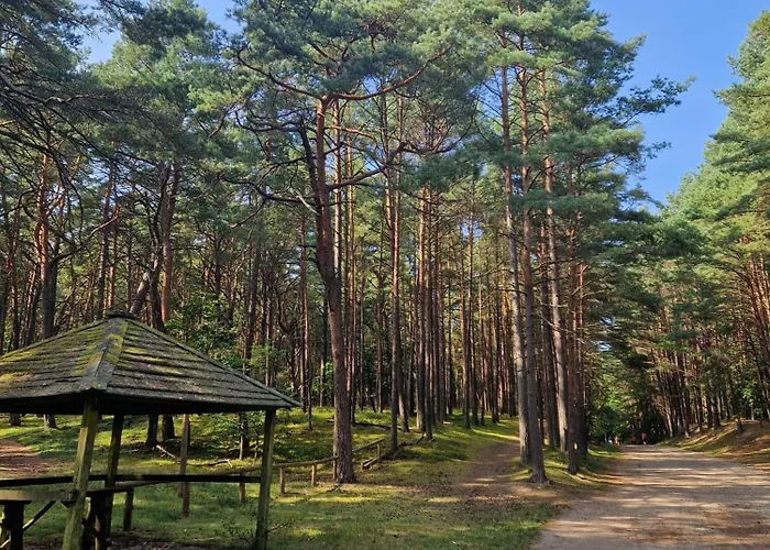 Апартаменты Promyk